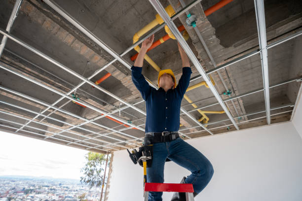 Best Affordable Plumbing Services  in Leipsic, OH