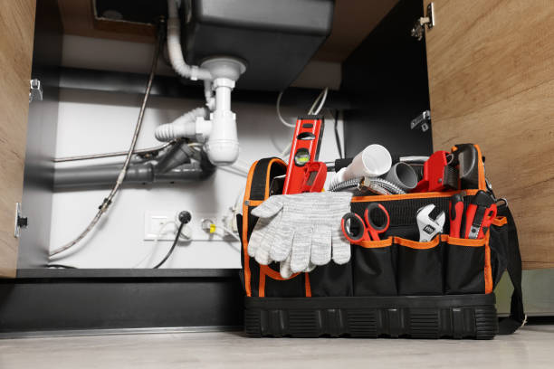 Best Local Plumber Services  in Leipsic, OH